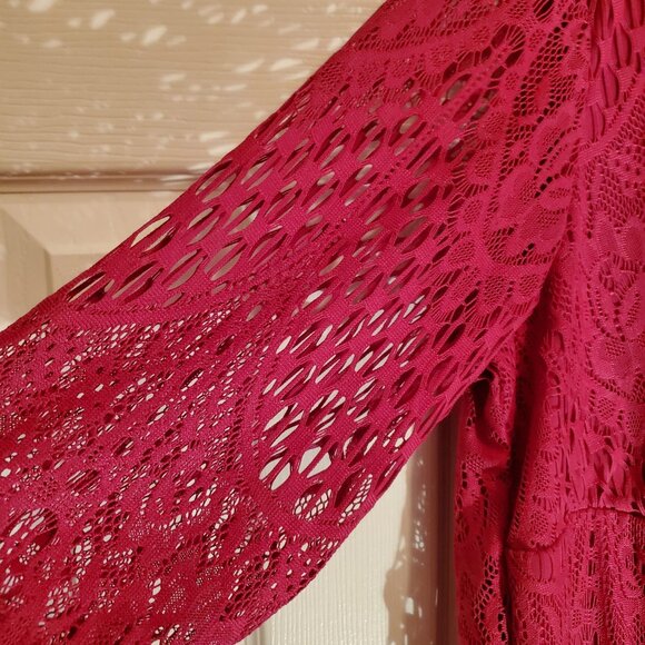 NWT Rabbit Rabbit Rabbit Raspberry Lace 3/4 Sleeve Dress Size 22W Lined - Picture 4 of 7